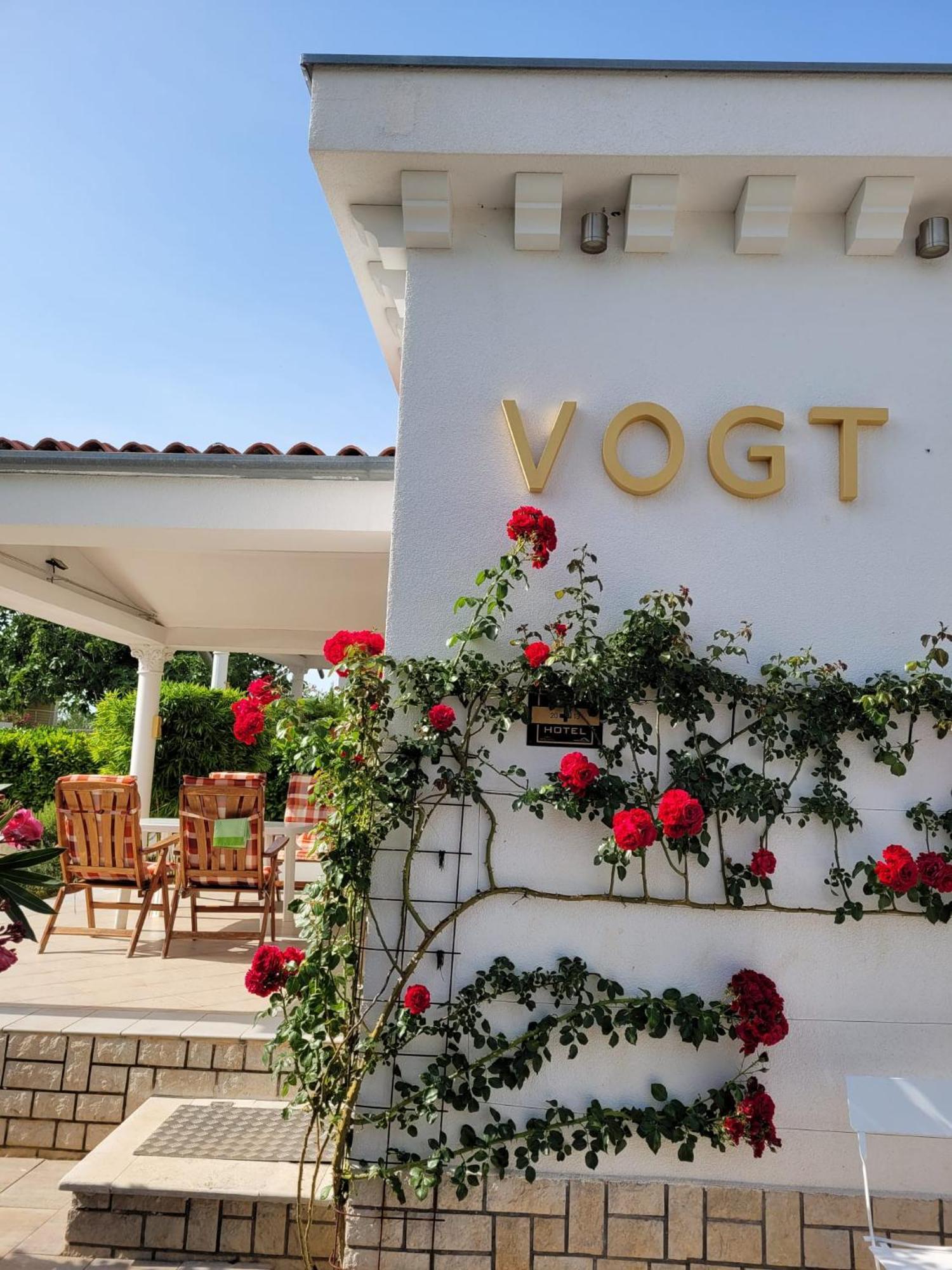 Vogt